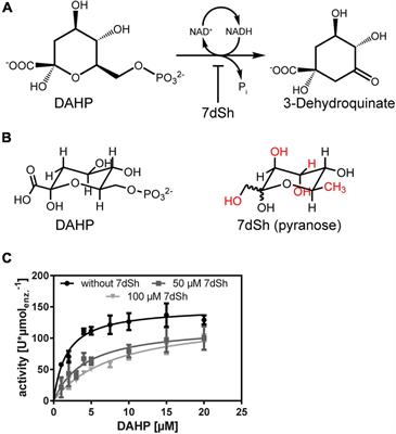 In vivo Inhibition of the 3-Dehydroquinate Synthase by 7-Deoxysedoheptulose Depends on Promiscuous Uptake by Sugar Transporters in Cyanobacteria